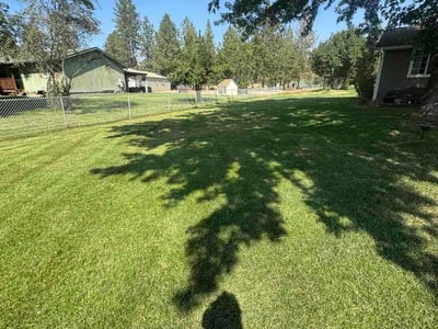 Lawn care service in Nine Mile Falls, 99026