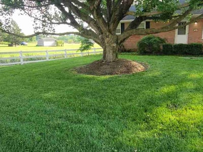Lawn care service in Lancaster, 17601