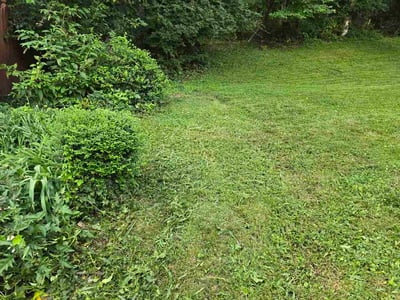 Lawn care service in Vienna, 22181