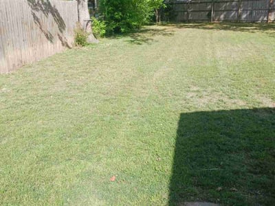 Lawn care service in San Antonio, 78233
