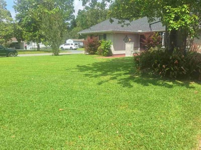 Lawn care service in Lafayette, 70503