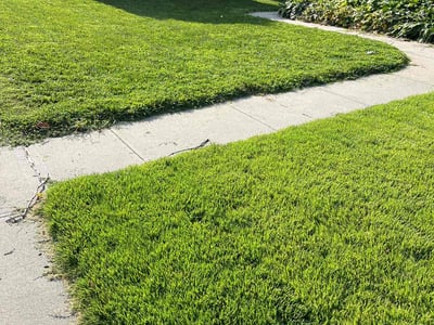 Lawn care service in Council Bluffs, 51503