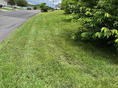 Lawn care service in Knoxville, 37924