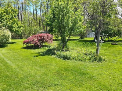 Lawn care service in Rochester, 14612