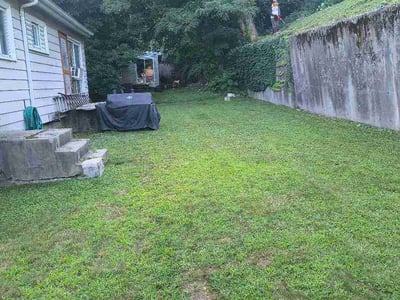 Lawn care service in Boston, 02135