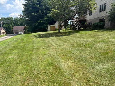 Lawn care service in Greensburg, 15601