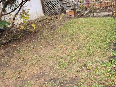 Lawn care service in Chicago, 60651