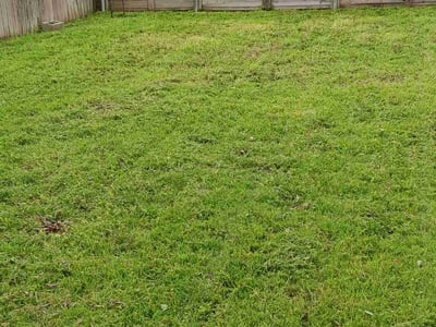Lawn care service in Austin, 78745