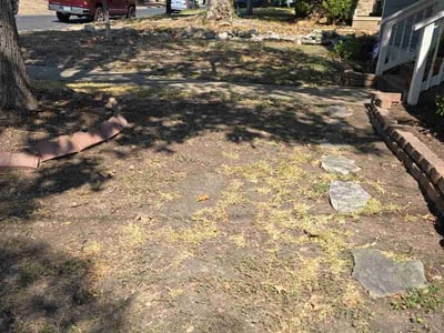 Lawn care service in Austin, 78703