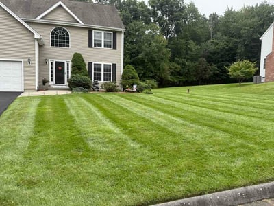 Lawn care service in Wallingford, 06492