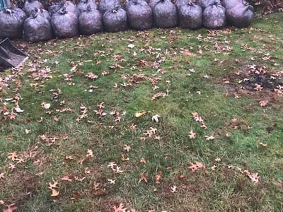 Lawn care service in Lorain, 44053