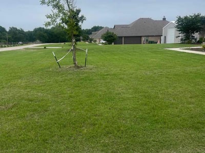 Lawn care service in Decatur, 76234