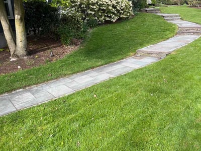 Lawn care service in Newton, 02465