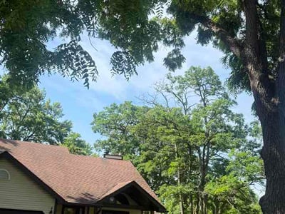 Lawn care service in Mundelein, 60060