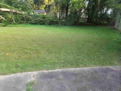 Lawn care service in Attalla, 35954
