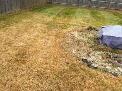 Lawn care service in , 