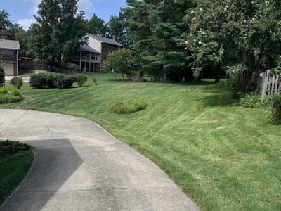 Lawn care service in Lexington, 40515