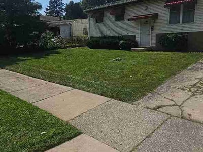 Lawn care service in Chicago Heights, 60411