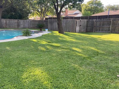 Lawn care service in Dallas, 75229