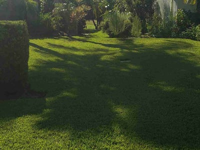 Lawn care service in Sarasota, 34235
