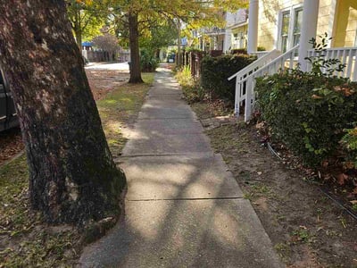 Lawn care service in Columbia, 29201