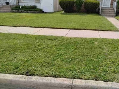 Lawn care service in Hammond, 46324