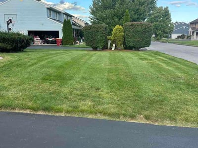 Lawn care service in Easton, 18040