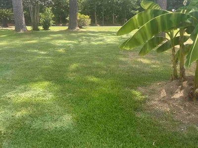 Lawn care service in Chapin, 29036