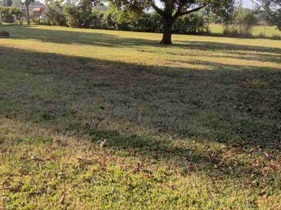 Lawn care service in Claremore, 74019