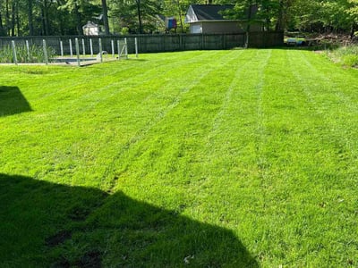 Lawn care service in Lorain, 44053
