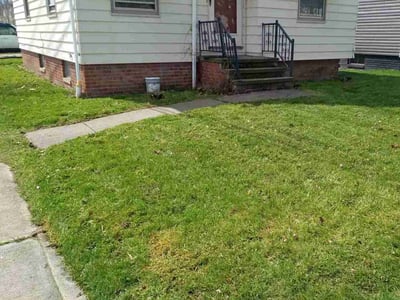 Lawn care service in Cleveland, 44135