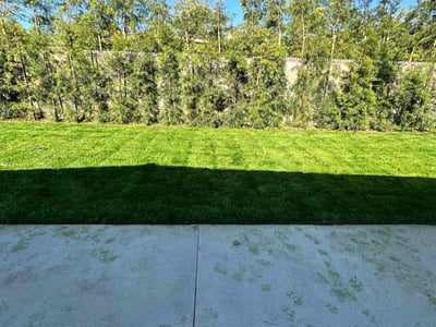 Lawn care service in Los Angeles, 91316