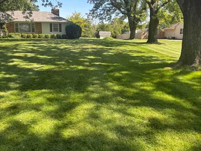 Lawn care service in Englewood, 45322