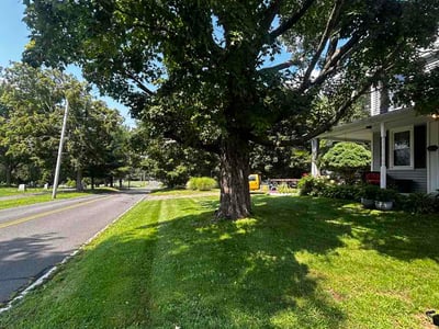 Lawn care service in Vernon, 06066