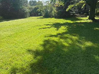 Lawn care service in Liberty Township, 45011