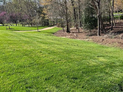 Lawn care service in Midlothian, 23113