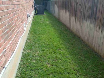 Lawn care service in Schertz, 78154
