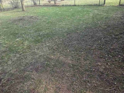 Lawn care service in Madison, 53711