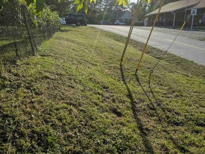 Lawn care service in Cayce, 29033