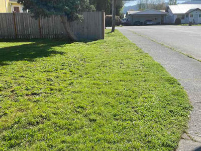 Lawn care service in Enumclaw, 98022