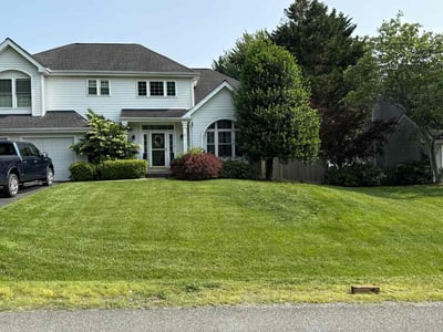 Lawn care service in Stafford, 22554