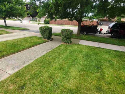 Lawn care service in Chicago Ridge, 60415
