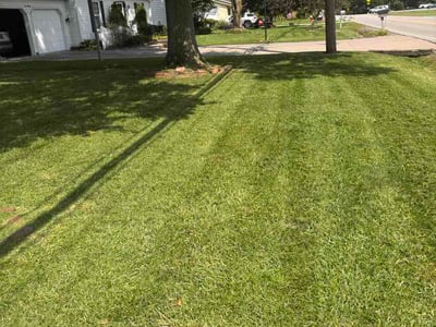 Lawn care service in Elyria, 44035