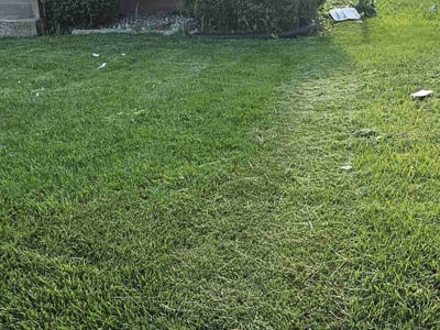 Lawn care service in Milwaukee, 53218