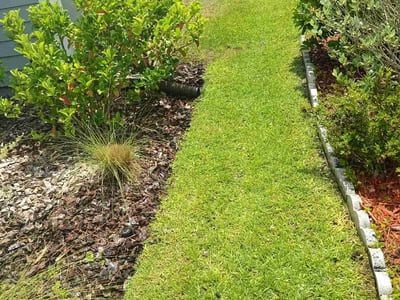 Lawn care service in Jacksonville, 32226