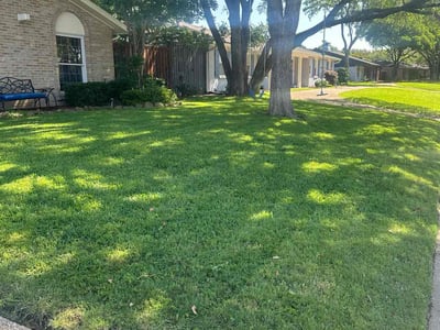 Lawn care service in Dallas, 75244