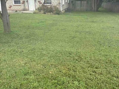 Lawn care service in Raytown, 64133