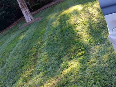 Lawn care service in Winston-Salem, 27106