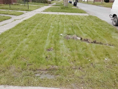 Lawn care service in Detroit, 48204