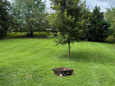 Lawn care service in Knoxville, 37912
